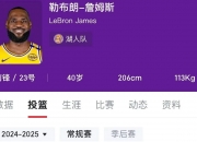 开云体育中国-关于湖人绝杀火箭晋级总决赛，詹姆斯再添辉煌战绩的信息