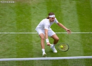 开云sport-温网绝杀戴维斯杯，蒂姆状态火热