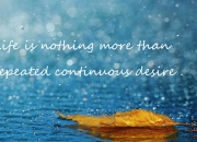 开云APP-横跨欧亚的体育启示录，从土耳其篮球横扫日本到巴雷拉的欧冠统治