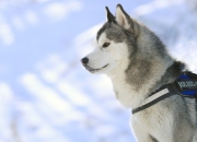 开云体育在线-交响乐与刺刀，格列兹曼的压制级发挥与智利人的血性抗争