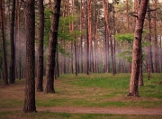 开云体育-双城记，当金块稳住日光，启示绿茵场上的战术之心