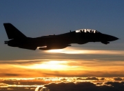 开云体育平台APP-永恒一瞬，加克波与一个失语国度的足球救赎