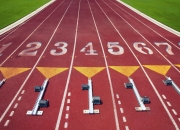 开云体育登录-绿茵与木地板的共振，当主宰时刻同时降临