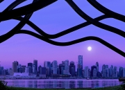 开云体育官网-封神夜，特奥如何用一场比赛撕碎所有质疑与时代烙印
