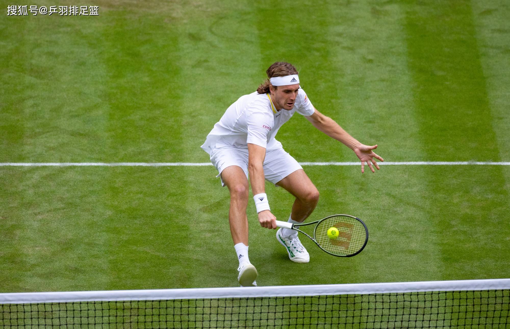 温网绝杀戴维斯杯，蒂姆状态火热