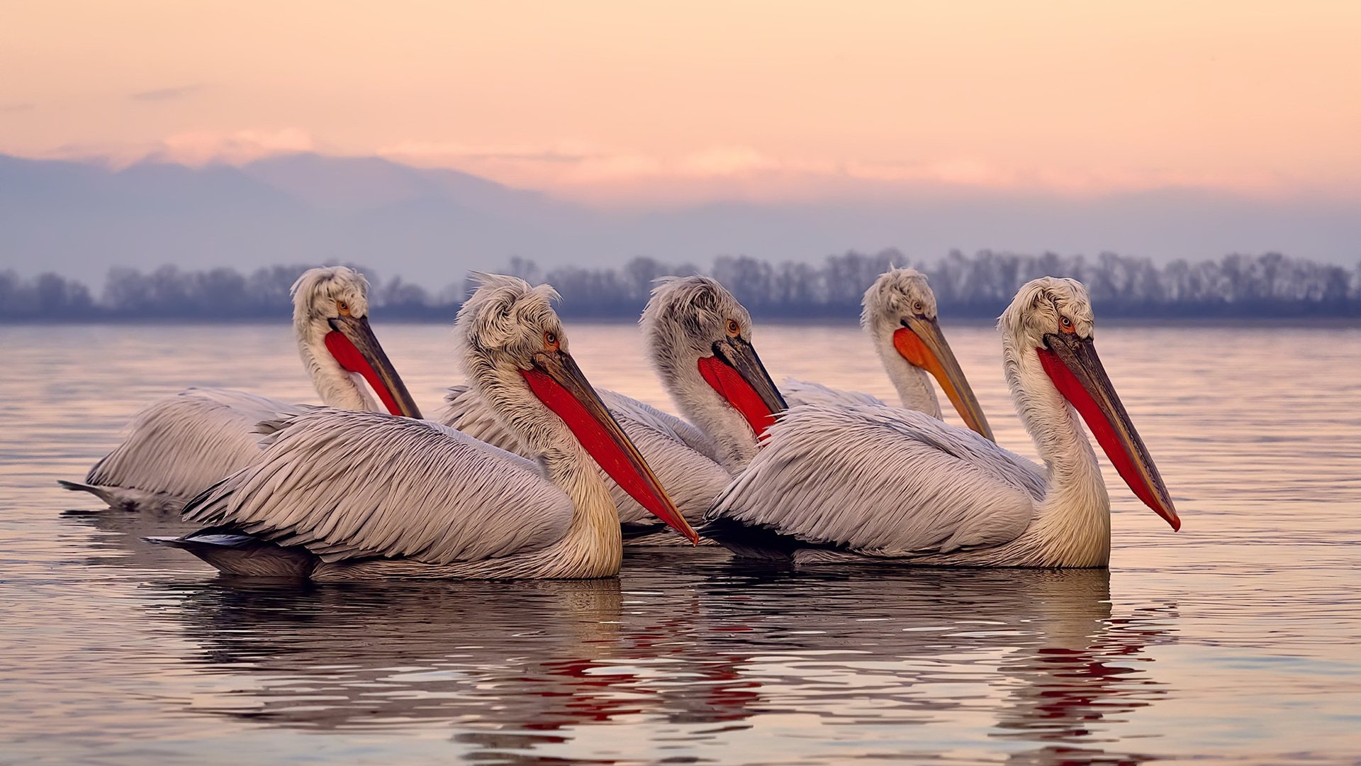 谁是76人?布伦森只听到自己的名字