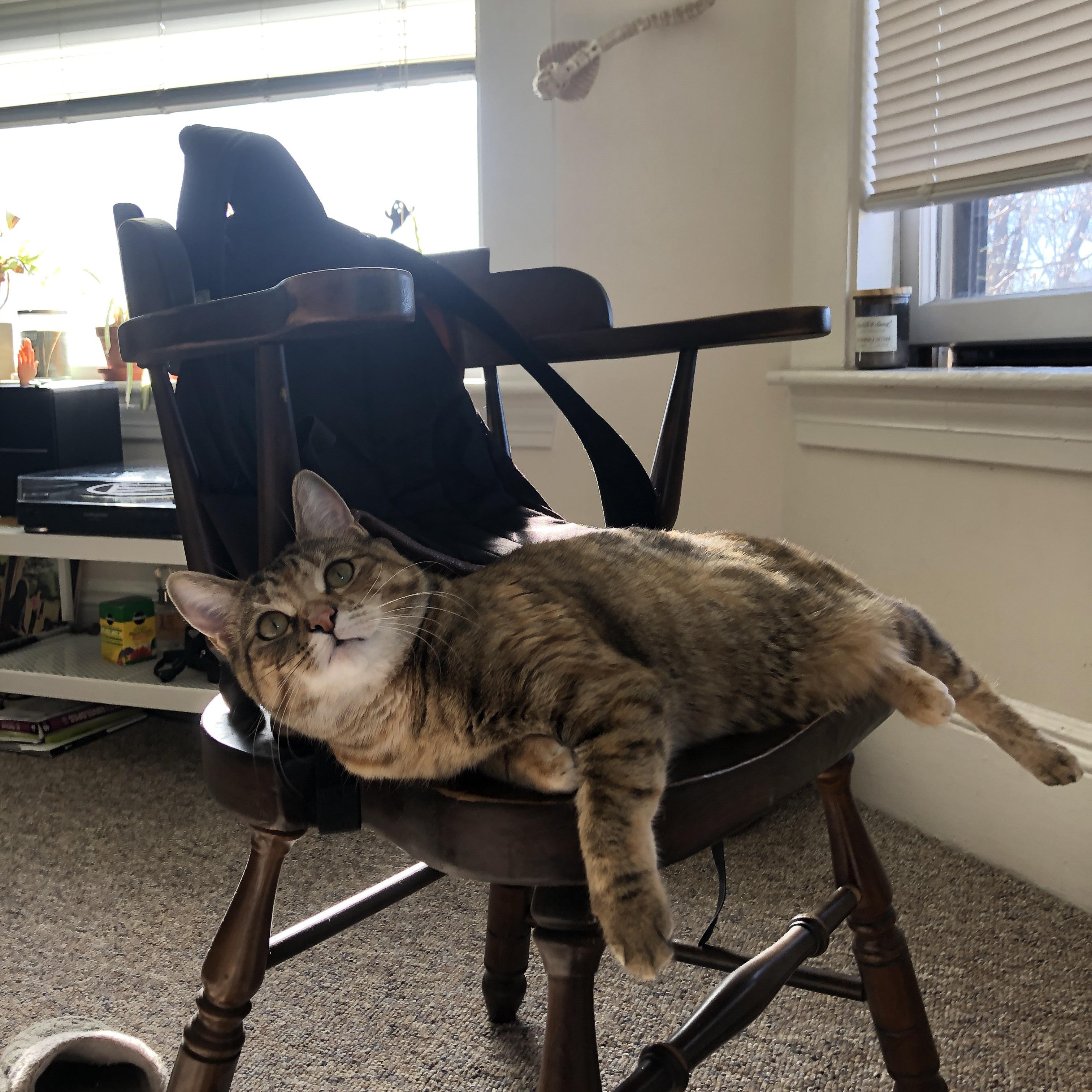 山西队关键战突围国王，约基奇扛起全队