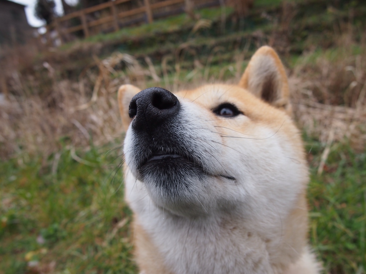 92分钟，生与死的岔路，阿尔瓦雷斯用一脚写就摩纳哥的唯一解