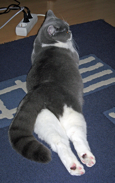 暗夜流光,帕尔默在街道迷宫中刻下的独一印记