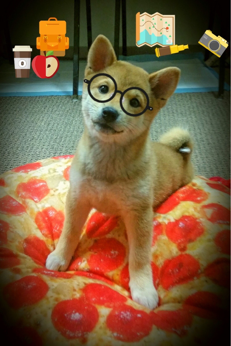 绝杀之夜的怒吼,马丁内利导演,里昂压哨逆转阿尔及利亚