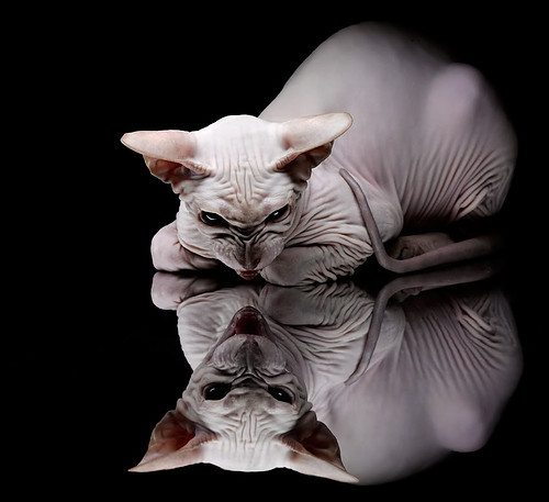 跨界MVP，当萨拉赫的绿茵魔术征服NBA总决赛之夜