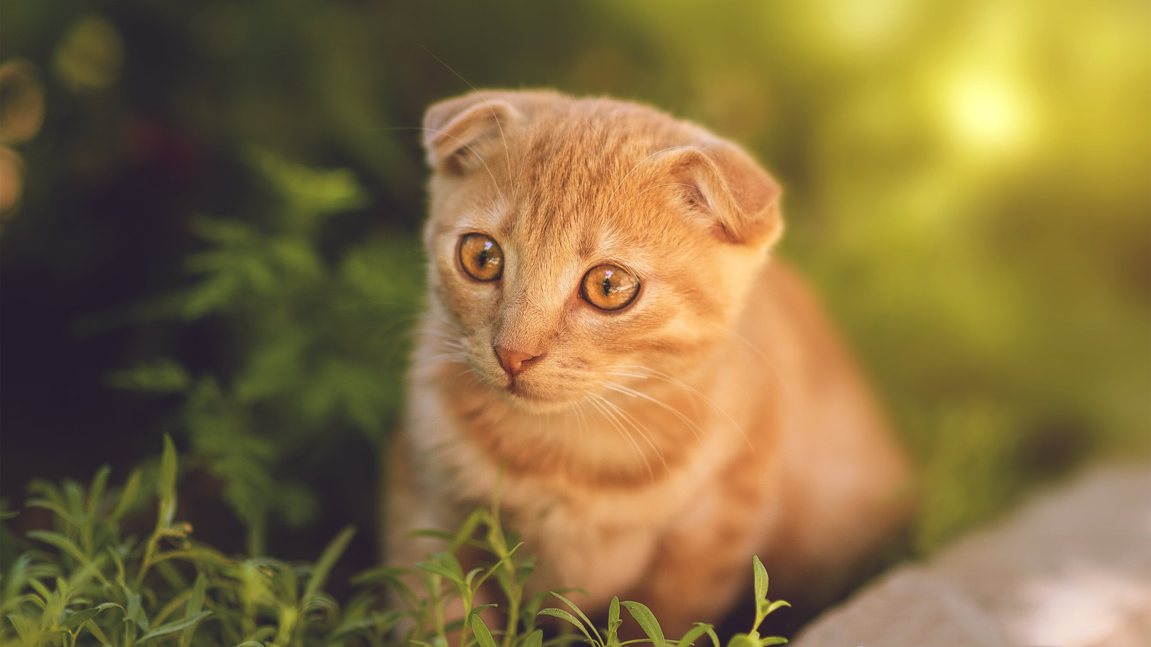 时空交错的巅峰，当纳什的马刺在东部决赛遇见了帕克的篮网