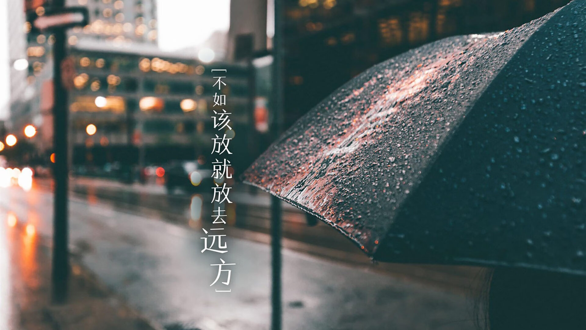 铁幕与手术刀,马刺用防守绞杀奇才,米切尔在寂静中完成致命切割