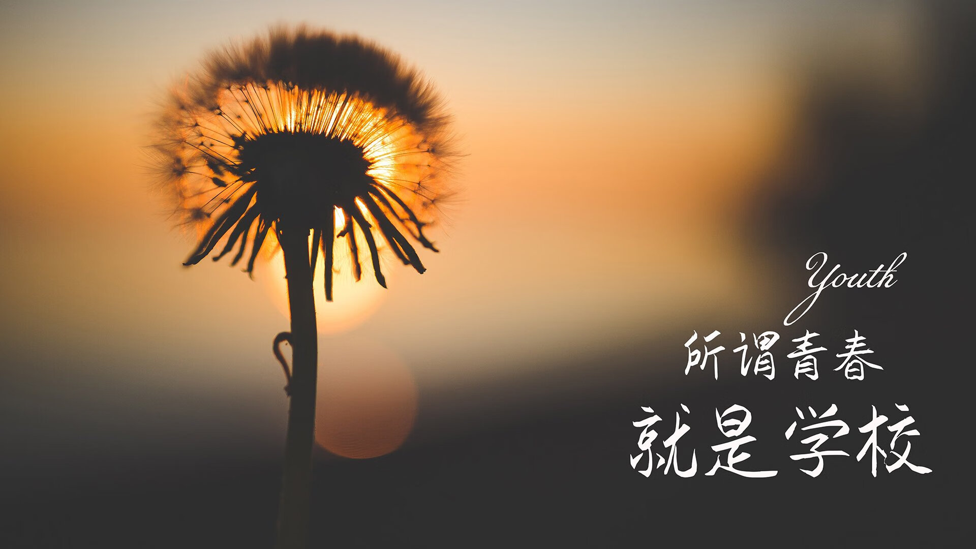 克瓦拉茨赫利亚独舞破局,沙特豪门碾压雷恩,一场预示亚洲足球新纪元的降维打击